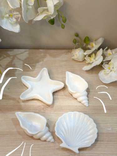 Sea tray 4 pcs