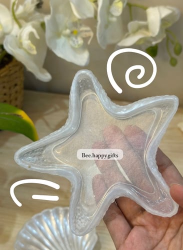 Sea shell 🐚