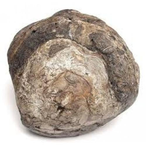 زيت عطري عنبر دخني