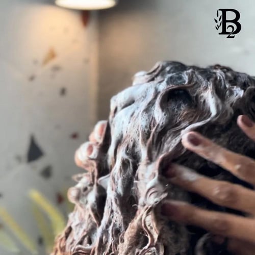 شامبو وبلســم B2 2×1