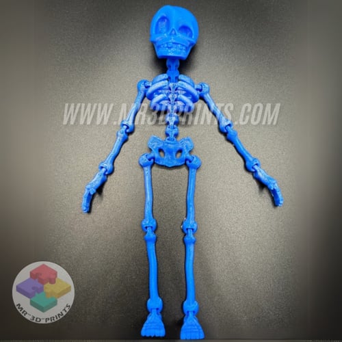 هيكل عظمي مرن