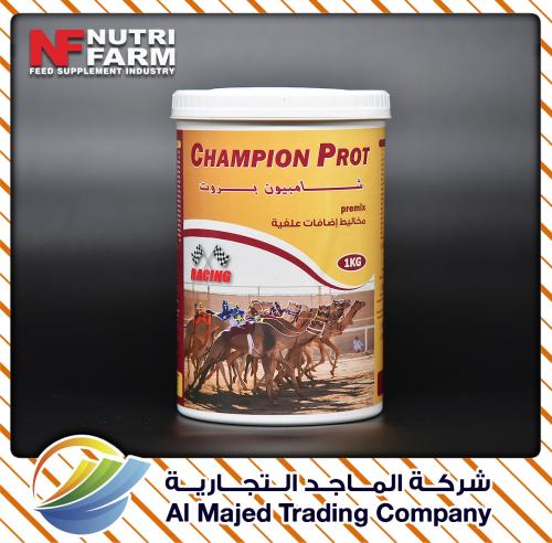 Champion Prot ( 1KG)
