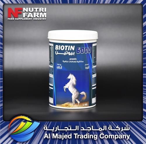 BIOTIN 6000 (1KG)