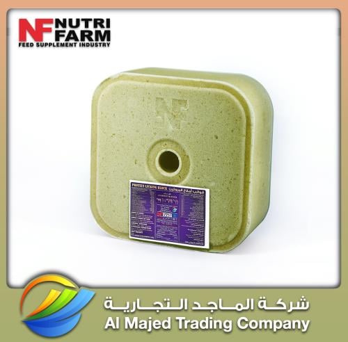 Protein block (5 KG)