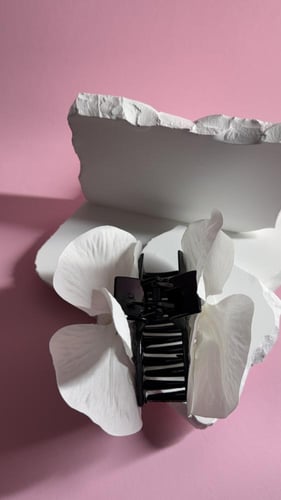 مساكة شعر زهرة الأوركيد أبيض