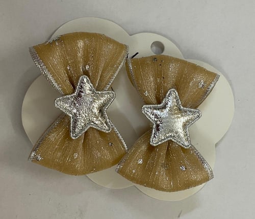 توكات شيفون مع نجوم فضي