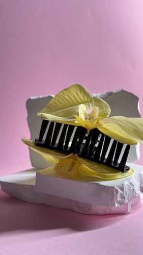 مساكة شعر زهرة الأوركيد أصفر