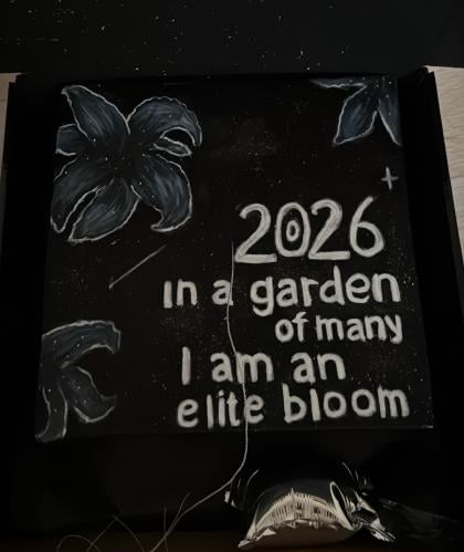 قبعة تخرجlily