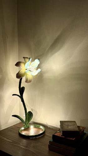 Bloomli Luna