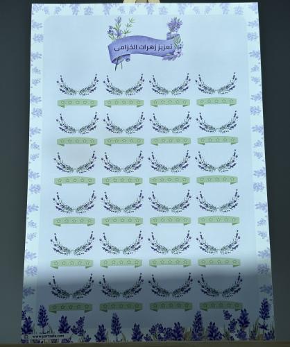 بكج فصلي المميز ( زهرات اللاڤندر)