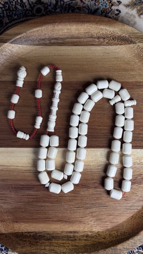 عظم جمل – تمليكه 🐪✨