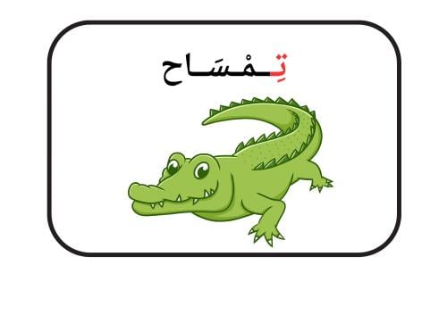 استراتيجية حرف ت