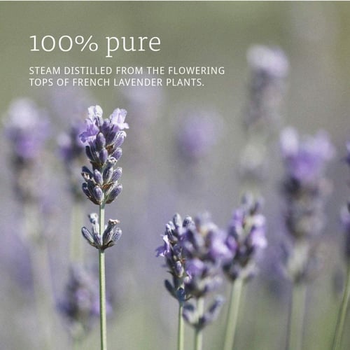 ناو زيت اللافندر العطري - 30مل