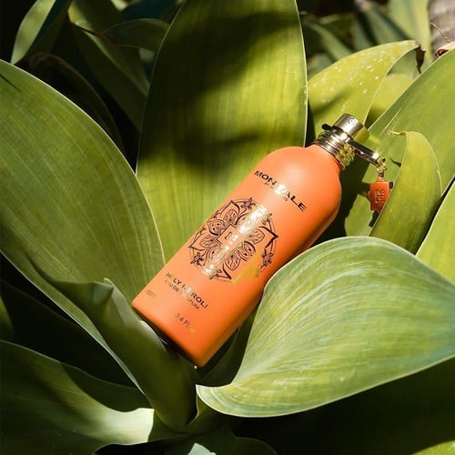 عطر مونتال باريس هولي نيرولي - او دى بارفيوم 100 م...