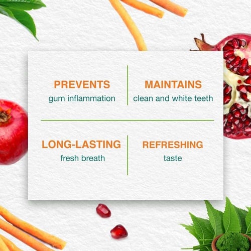 هيمالايا معجون أسنان عشبي لعناية كاملة - 100 مل