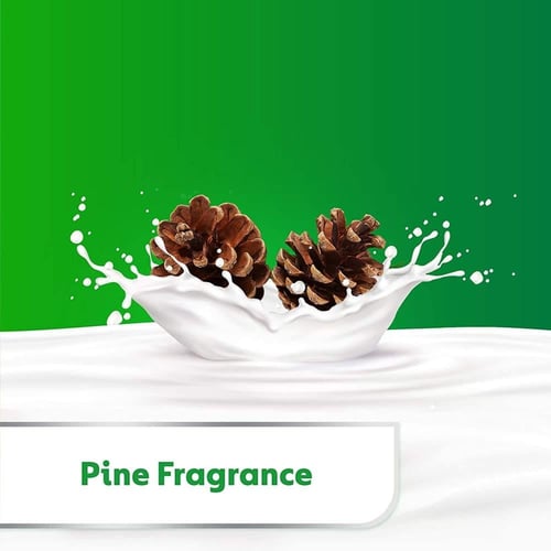 ديتول الأصلي غسول جسم للعناية بالبشرة بعطر الصنوبر...