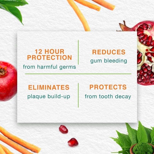 هيمالايا معجون أسنان عشبي لعناية كاملة - 100 مل