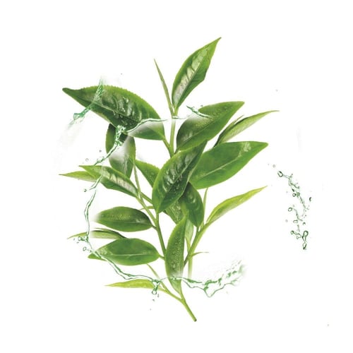 غارنييه قناع هيدرا بومب الورقي مع خلاصة الشاي الاخ...