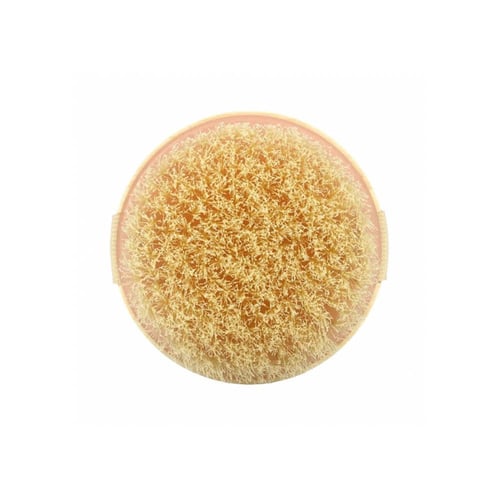 ايكوتولز فرشاة جافة دائرية