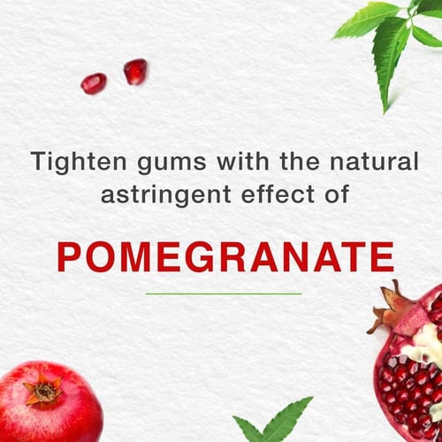 هيمالايا معجون أسنان عشبي لعناية كاملة - 100 مل