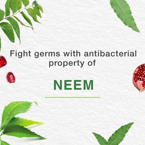 هيمالايا معجون أسنان عشبي لعناية كاملة - 100 مل