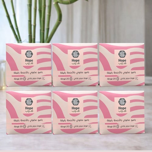 حجم توفيري 6 عبوات فوط الحجم العادية-120 فوطة