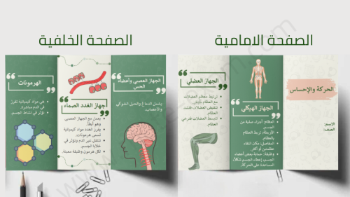 مطوية الحركة والإحساس