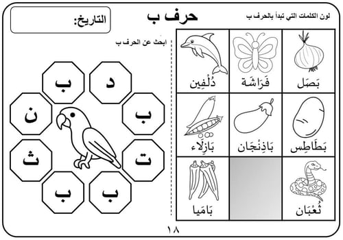 نقرأ ونكتب الفصل الأول 1447 (PDF)