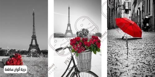 Eiffel Tower wall art in red and black - three pieces