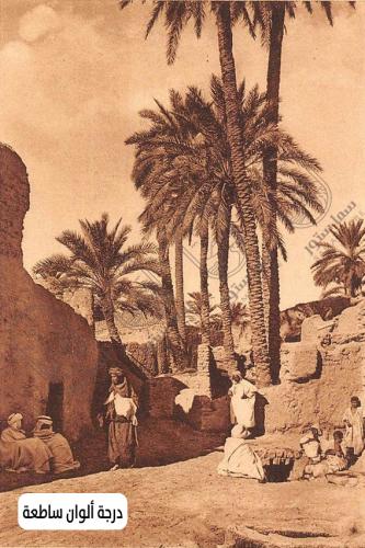 Artistic painting of palm trees with a heritage style