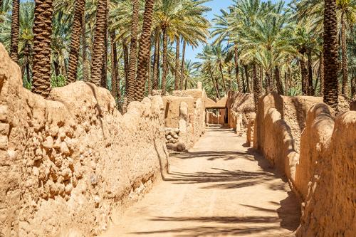 لوحة فنية كانفس