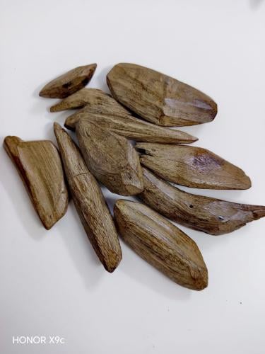 عود مروكي الشيوخ