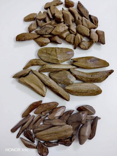 باقة عود للمناسبات