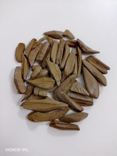 مروكي النخبة