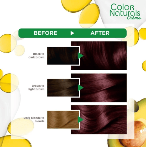 غارنييه كولور ناتشورالز صبغة شعر - برغندي 4.6