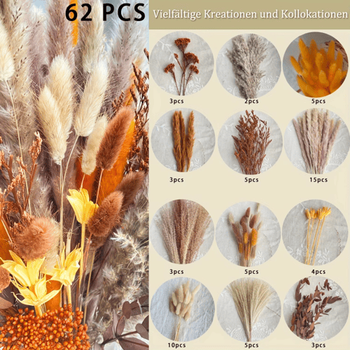 زهور القصب المجففة