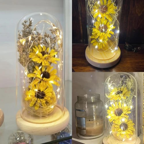 مصباح زجاجي لعباد الشمس LED
