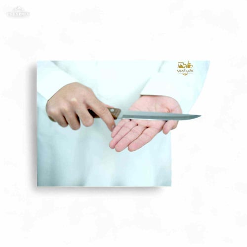 سكين ياباني يد خشب