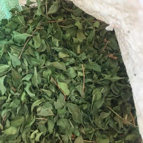 ورق الحناء المدينة العضوي (المجفف) 100 جرام