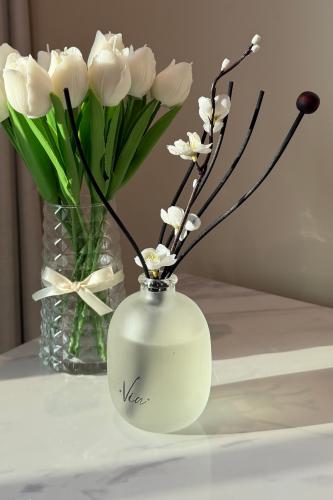 ديفيوزر ڤيا بروح عطر جادور 170ml