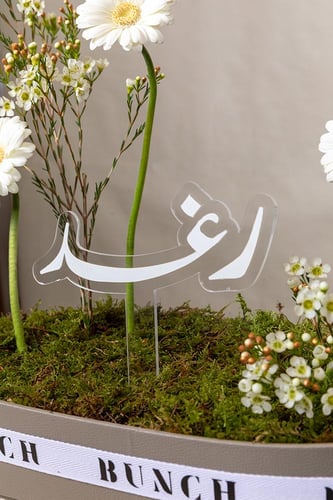 باقة جلد كبير