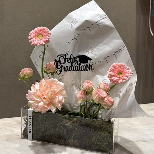 علبة تخرج كلريك