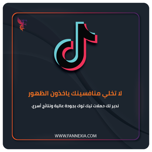 إطلاق وإدارة حملات إعلانات تيك توك (TikTok Ads): خ...