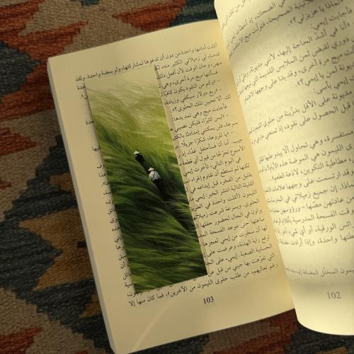 فاصل