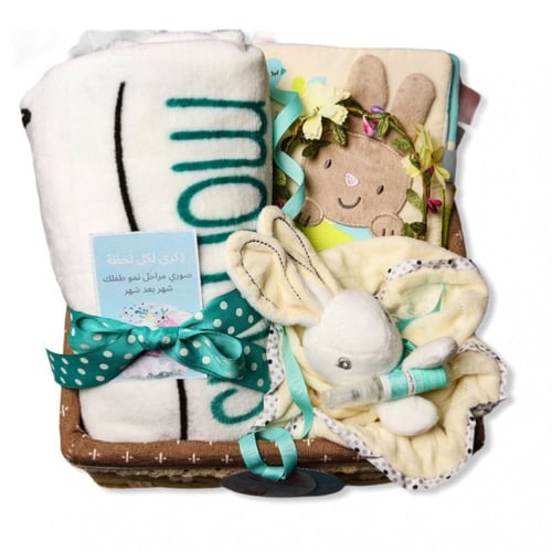 سله بيبي المميزه للموليد الجدد