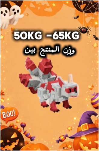 kitsune 50-60 kg