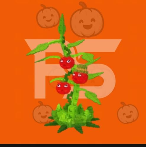 Tomatrio(dps) 50-100k