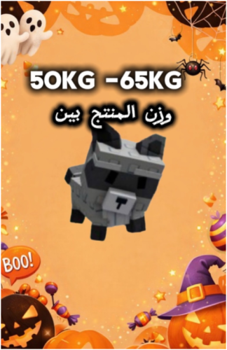RACCON 50-65kg