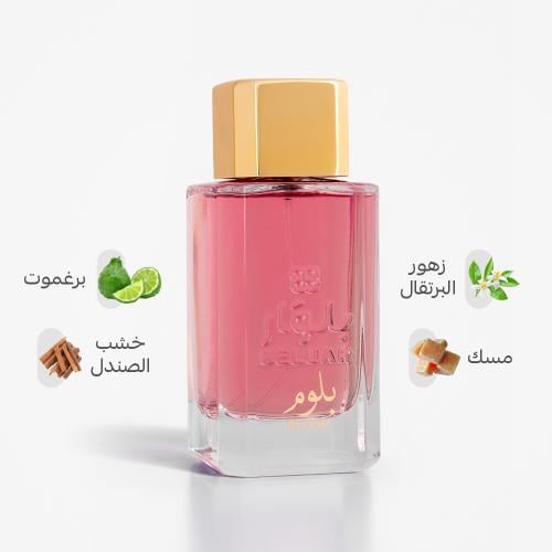 بلوم - Bloom