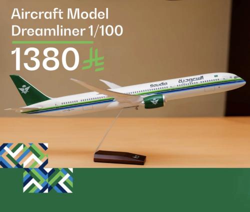 Aircraft Model Dreamliner 1/100